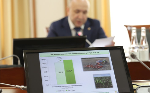 В Чувашии сев зерновых и зернобобовых культур ожидается завершить в пределах текущей недели